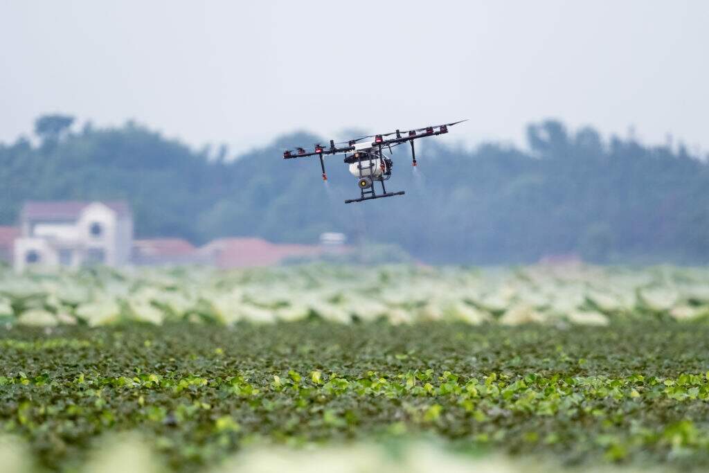 
Pulverização dos plantios utilizando drones